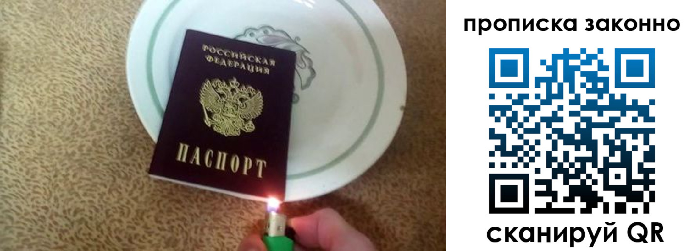 прописка поиск в Палласовке