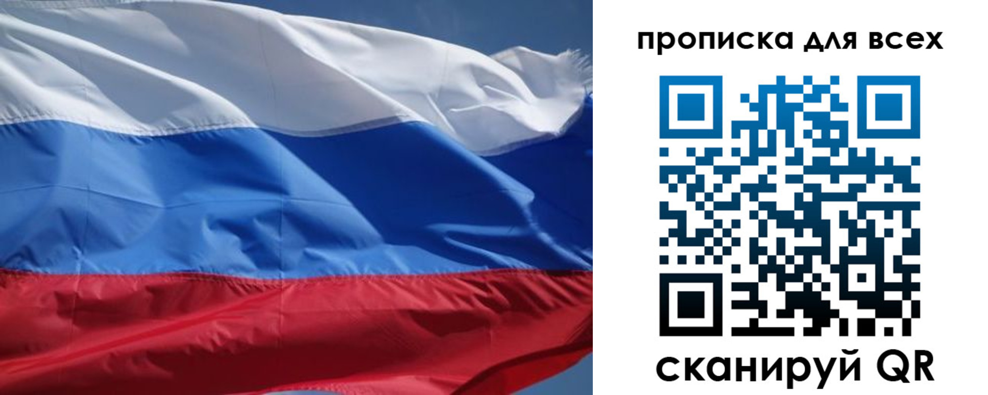 прописка гарантия в Палласовке